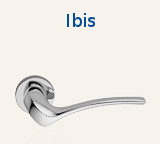 Ibis